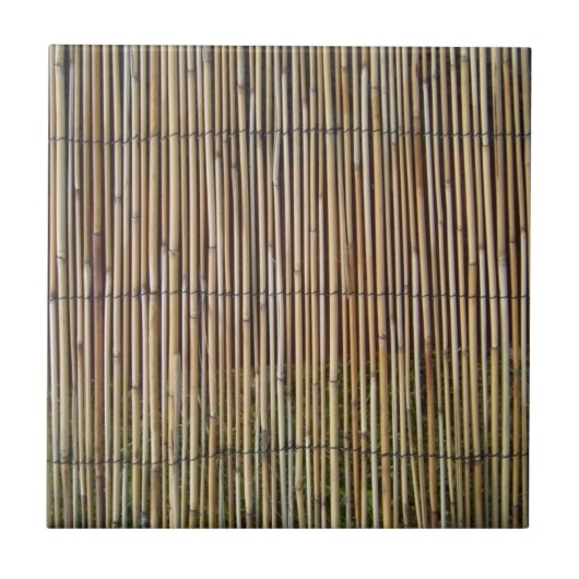 フェイクなタケ タイル (正面)