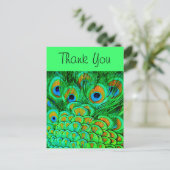 フェイク孔雀の羽抽象芸術自然パターン ポストカード (スタンド正面)