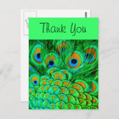 フェイク孔雀の羽抽象芸術自然パターン ポストカード (正面/裏面)
