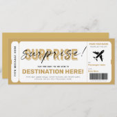 フェイク飛行機チケットサプライズ搭乗券 招待状 (正面/裏面)