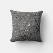 フェイクChromeミニボックスの背景 クッション (正面)