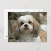 フェイスポストカード ポストカード (正面/裏面)