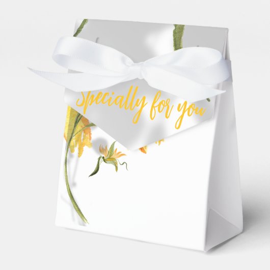 フェイバーボックス (正面サイド)