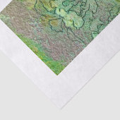 フェイリーレムズティッシュペーパーバイサミラスペリー  薄葉紙 (詳細)