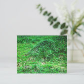 フェイリーIへの入り口 ポストカード (スタンド正面)