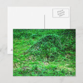 フェイリーIへの入り口 ポストカード (正面/裏面)