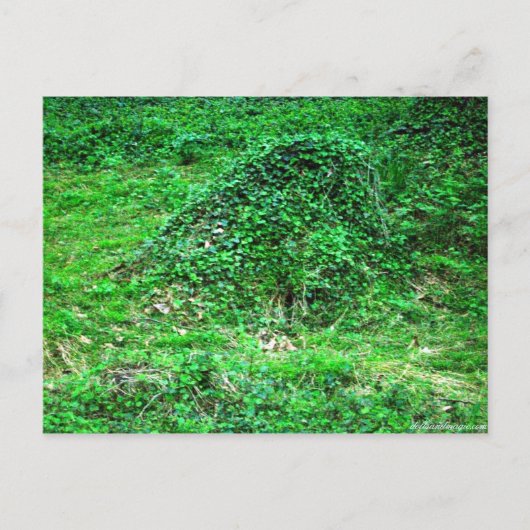 フェイリーIへの入り口 ポストカード (正面)