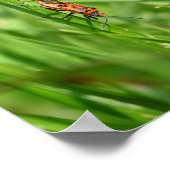 フェウアーワンゼンイムグラ ポスター (角)