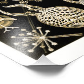 フェオダリア | 61金ゴールド | Ernst Haeckel | フォトプリント (角)