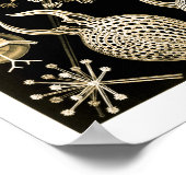 フェオダリア | 61金ゴールド | Ernst Haeckel | ポスター (角)