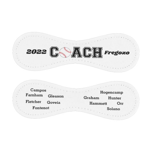 フェゴゾ野球コーチ 野球ボール (パネル)