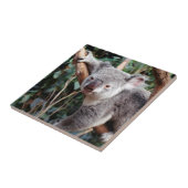 フェザデール野生動物公園，コアラベアーズ タイル (側面)