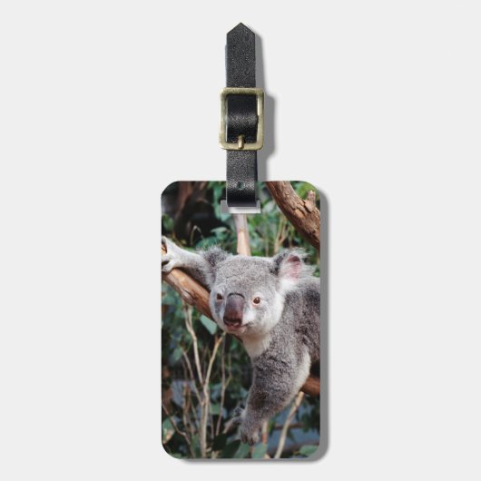 フェザデール野生動物公園，コアラベアーズ ラゲッジタグ (正面縦)