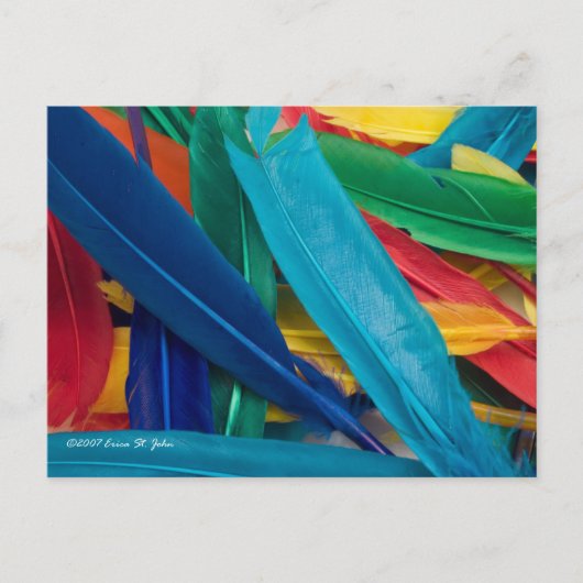 フェザリーはがき ポストカード (正面)