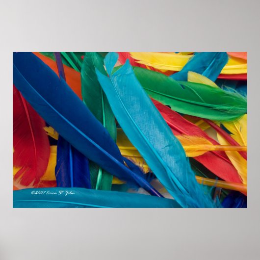 フェザリー・ポスター ポスター (正面)