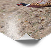 フェザントフォトプリント フォトプリント            (角)