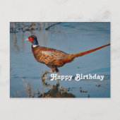 フェザントブルーウォーターフォト誕生日 ポストカード (正面)