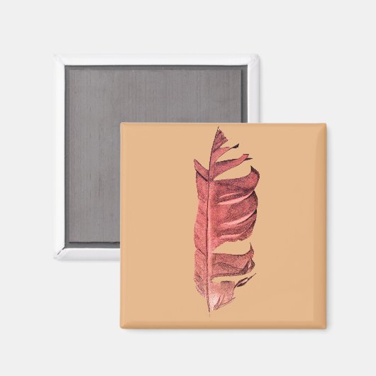 フェザースケッチ素晴らしアートオリジナルイラストレーション マグネット (正面/裏面)