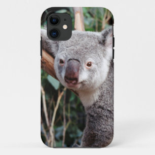 フェザーデール・ワイルドライフパーク、コアラ iPhone 11 ケース