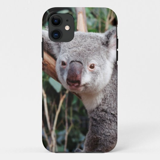フェザーデール・ワイルドライフパーク、コアラ Case-Mate iPhoneケース (裏面)