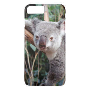 フェザーデール・ワイルドライフパーク、コアラ iPhone 8 PLUS/7 PLUSケース