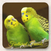 フェザードフレンズグリーンとイエローインパレーケット コースター (正面)