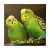 フェザードフレンズグリーンとイエローインパレーケット タイル (正面)