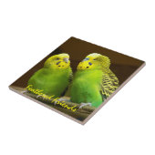 フェザードフレンズグリーンとイエローインパレーケット タイル (側面)