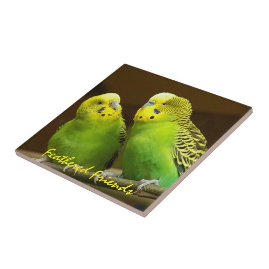 フェザードフレンズグリーンとイエローインパレーケット タイル (側面)