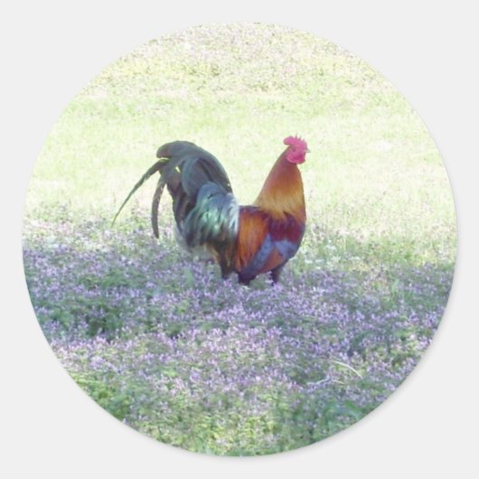 フェザープライドシール ラウンドシール (正面)