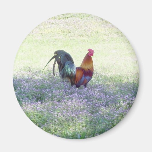 フェザープライド磁石 マグネット (正面)