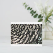 フェザー組織 ポストカード (スタンド正面)