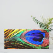 フェザーbyシャーリー・テイラー (スタンド正面)