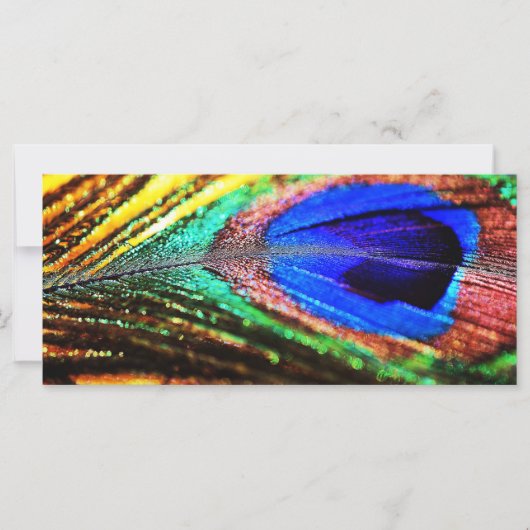 フェザーbyシャーリー・テイラー (正面)