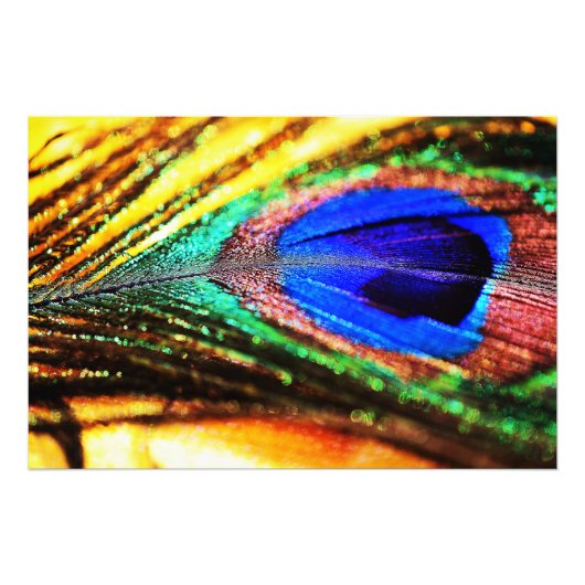 フェザーbyシャーリー・テイラー フォトプリント (正面)