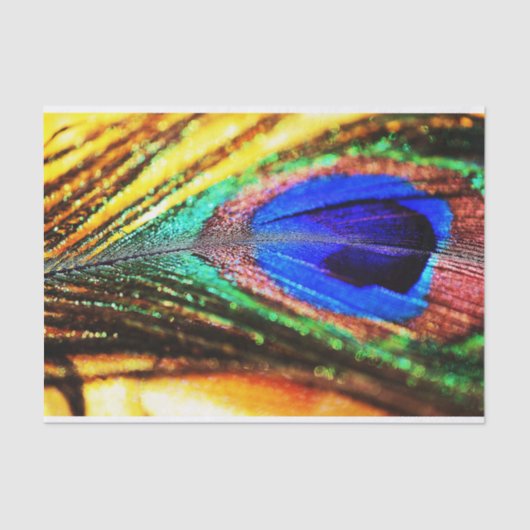 フェザーbyシャーリー・テイラー 薄葉紙 (正面)