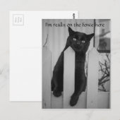 フェスおもしろいぶら下がったンに乗った猫 ポストカード (正面/裏面)