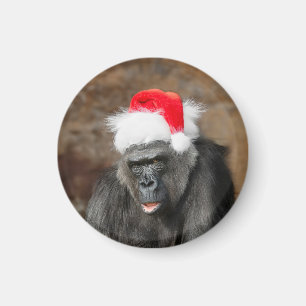 フェスティバルのクリスマスハットにゴリラBiddy マグネット