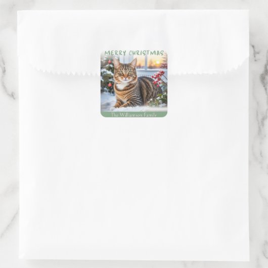 フェスティバルのタビー猫が雪の中かわいい動物のクリスマス スクエアシール (バッグ)