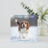 フェスティバルのビーグル犬の冬の雪のクリスマス シーズンカード (スタンド正面)