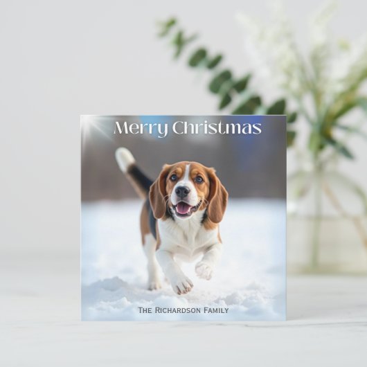フェスティバルのビーグル犬の冬の雪のクリスマス シーズンカード (スタンド正面)