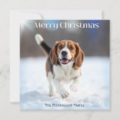 フェスティバルのビーグル犬の冬の雪のクリスマス シーズンカード (正面)