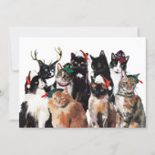 フェスティバルの水彩猫とサンタ帽子クリスマス シーズンカード (正面)