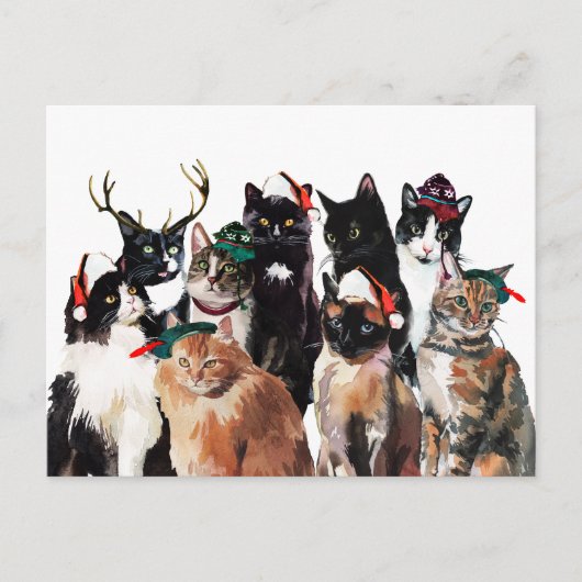 フェスティバルの水彩猫とサンタ帽子クリスマス シーズンポストカード (正面)