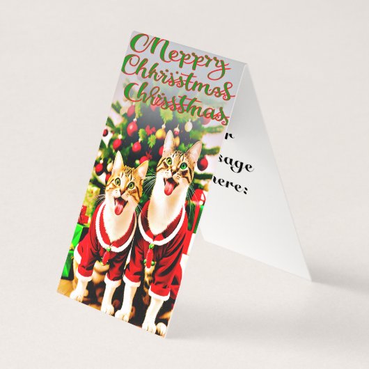 フェスティバルの猫好きの願いメリー (正面)