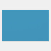 フェスティバルウィンターキュートドードルカラフル白黒 ラッピングペーパーシート (正面3)