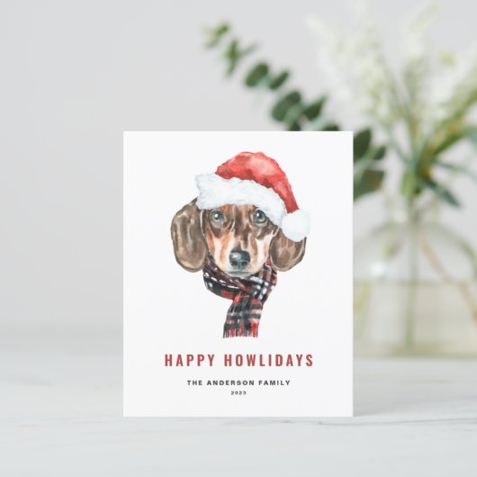 フェスティバルウォーターカラーダッシュンドサンタハッピーハウリデイズ (スタンド正面)