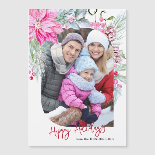 フェスティバルカラフルピンクポインセティアス写真 (正面)