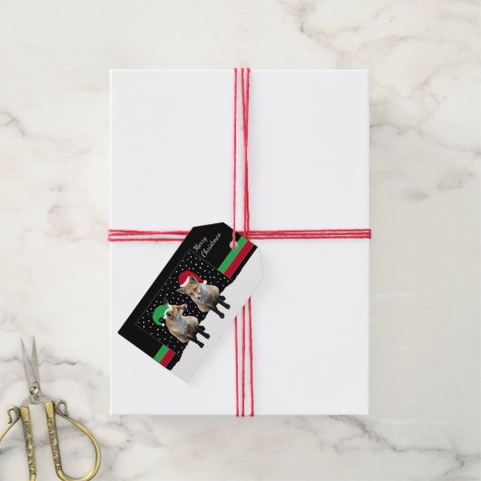 フェスティバルキツネキューブギフトラベル ギフトタグ (より糸付き)