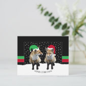 フェスティバルキツネクブスホリデーハガキ シーズンポストカード (スタンド正面)